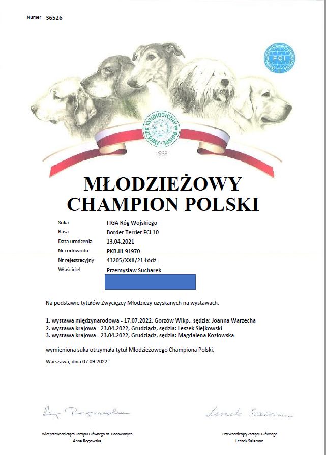 Figa Młodzieżowy Champion Polski