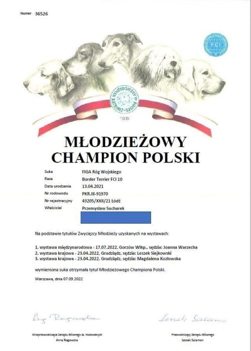 Figa Młodzieżowy Champion Polski